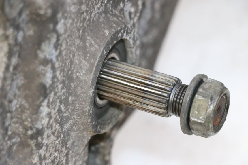 photo de SILNIK PEUGEOT TWEET PRO CARGO 50 (2018 - 2022) - Szczegół części