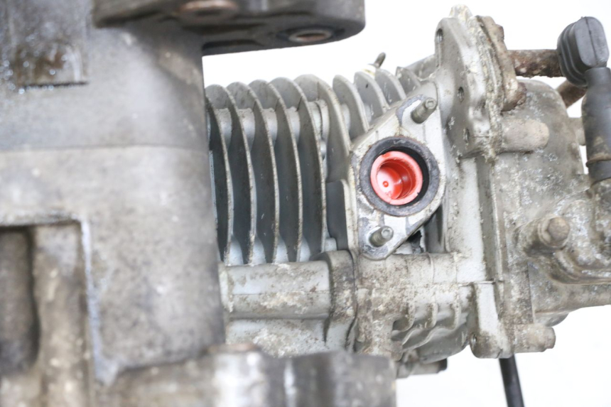 photo de SILNIK BEELINE VELOCE 4T 50 (2011 - 2020) - Szczegół części