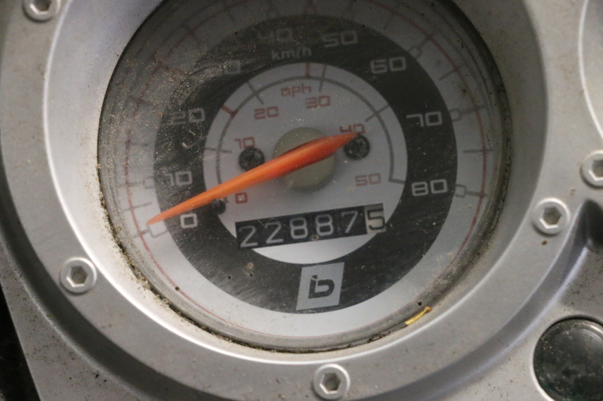 photo de SILNIK BEELINE VELOCE 4T 50 (2011 - 2020) - Struktura - zbliżenie