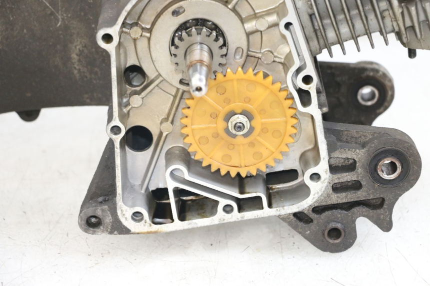 photo de SILNIK BEELINE VELOCE 4T 50 (2011 - 2020) - Stan powierzchni