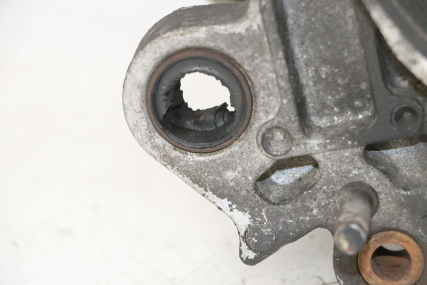 photo de SILNIK PEUGEOT VIVACITY NEW 4T 50 (2008 - 2017) - Widok produktu