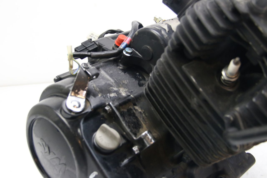 photo de SILNIK SYM WOLF SB 125 (2011 - 2018) - Zbliżenie komponentów