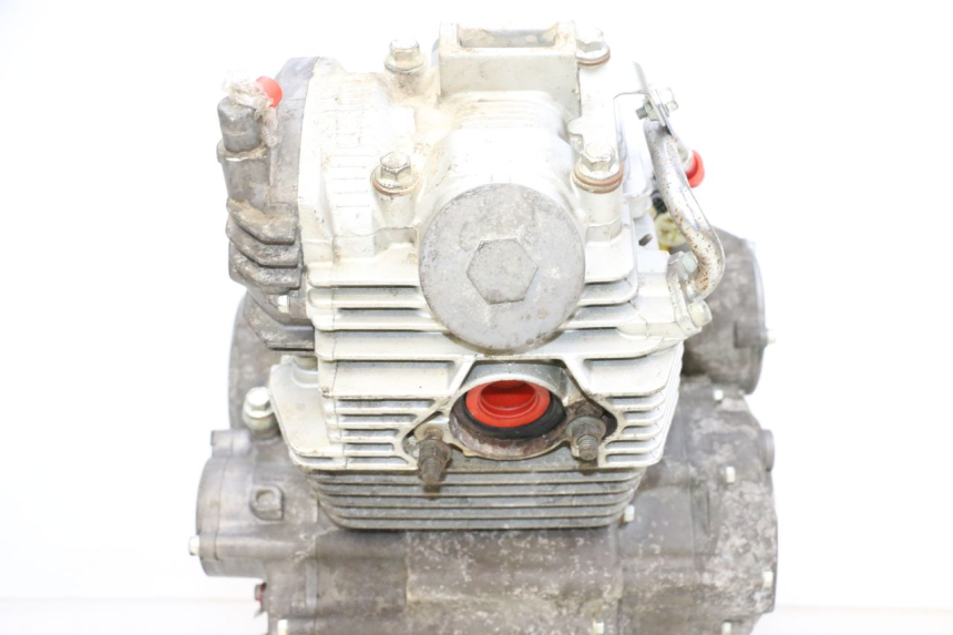 photo de SILNIK YAMAHA YFM R RAPTOR 250 (2008 - 2014) - Widok z bliska