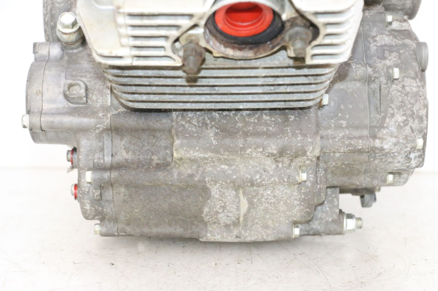 photo de SILNIK YAMAHA YFM R RAPTOR 250 (2008 - 2014) - Zdjęcie dodatkowe