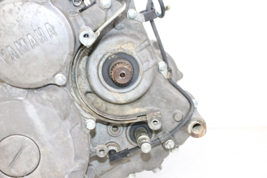 photo de SILNIK YAMAHA YFM R RAPTOR 250 (2008 - 2014) - Struktura - zbliżenie