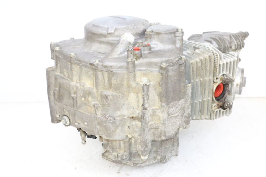 photo de SILNIK YAMAHA YFM R RAPTOR 250 (2008 - 2014) - Inny kąt widzenia