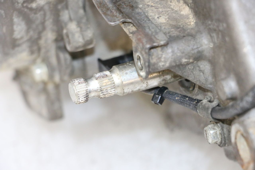 photo de SILNIK YAMAHA YFM R RAPTOR 250 (2008 - 2014) - Widok ogólny