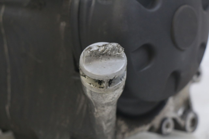 photo de SILNIK YAMAHA YP MAJESTY 125 (2007 - 2010) - Widok ogólny