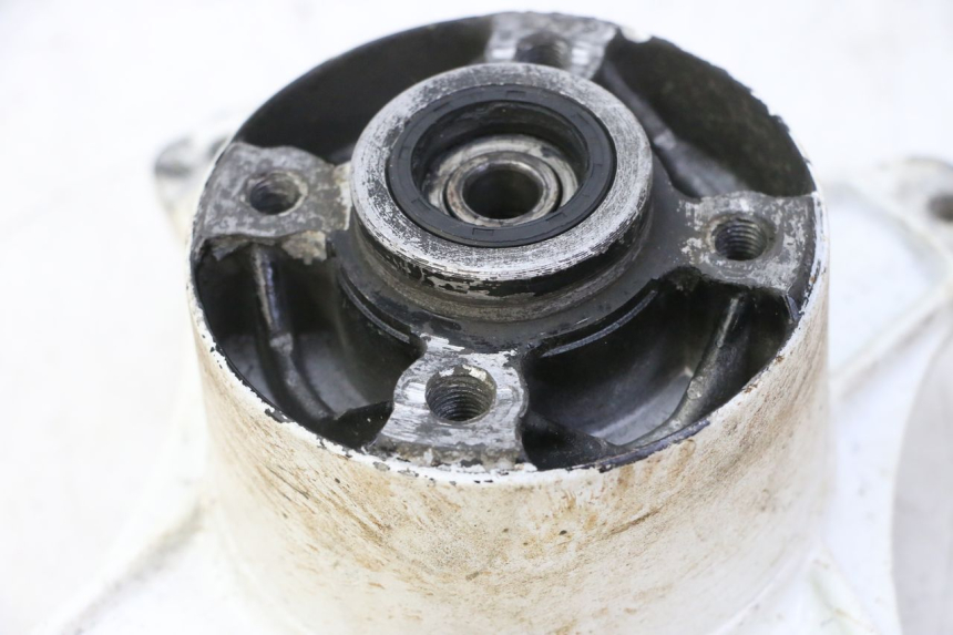 photo de PIASTA KOŁA TYLNEGO SKYTEAM DAX REPLICA 110 (2005 - 2015) - Zoom stanu zużycia