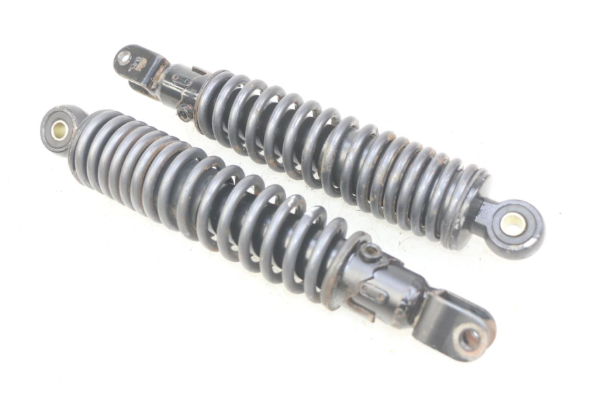 photo de ZESTAW TYLNYCH AMORTYZATORÓW ECCITY ARTELEC 670 1 (2013 - 2017) - Widok główny