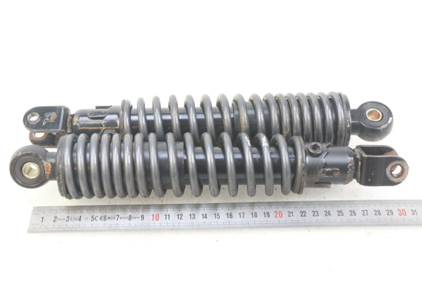 photo de ZESTAW TYLNYCH AMORTYZATORÓW ECCITY ARTELEC 670 1 (2013 - 2017) - Zoom stanu zużycia