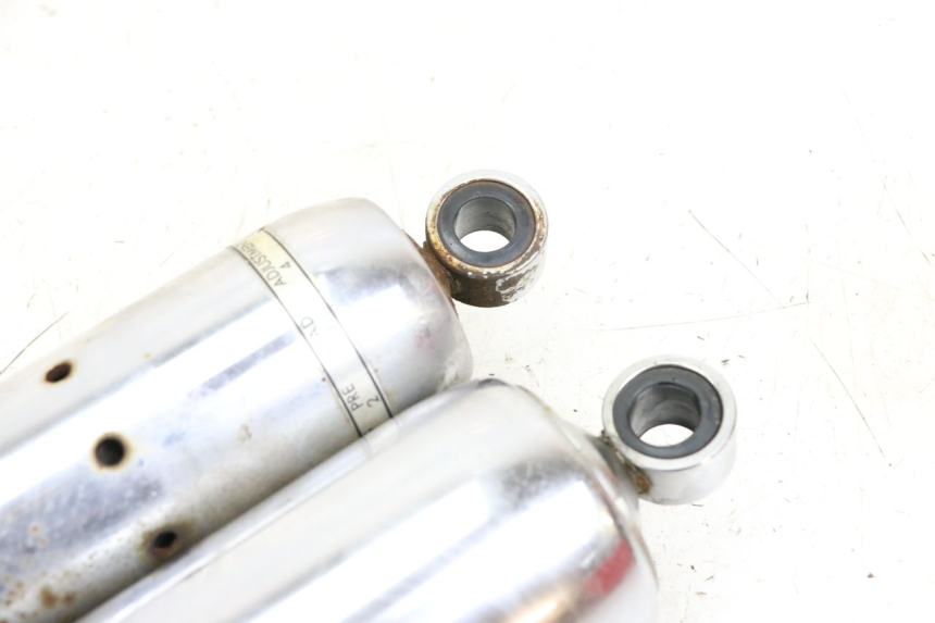 photo de PARA AMORTYZATORÓW TYLNYCH HONDA VT C2 SHADOW 750 (1997 - 2001) - Widok ogólny