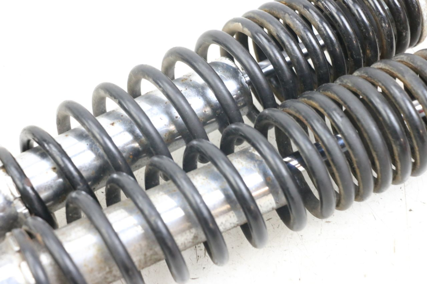 photo de PARA AMORTYZATORÓW TYLNYCH DAELIM S3 125 (2010 - 2017) - Stan powierzchni