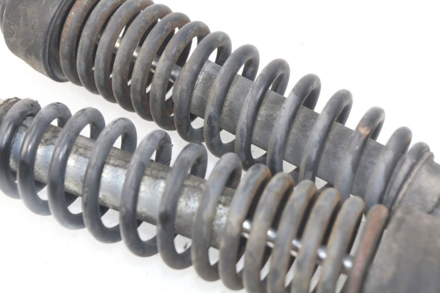 photo de PARA AMORTYZATORÓW TYLNYCH HONDA SES DYLAN 125 (2002 - 2006) - Widok ogólny