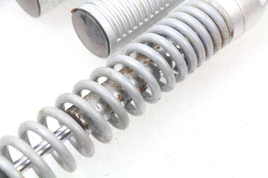 photo de PARA AMORTYZATORÓW TYLNYCH RAZZO STEED 125 (2012 - 2018) - Zoom stanu zużycia