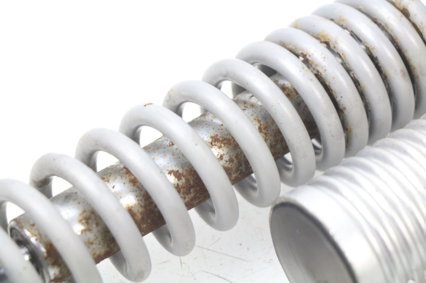 photo de PARA AMORTYZATORÓW TYLNYCH RAZZO STEED 125 (2012 - 2018) - Inny kąt widzenia