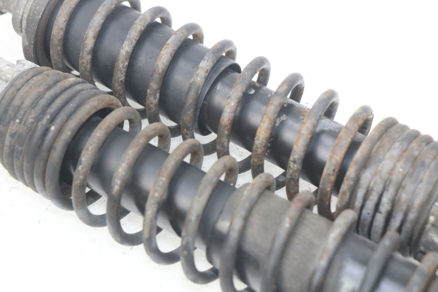 photo de PARA AMORTYZATORÓW TYLNYCH PIAGGIO X9 EVOLUTION 125 (2003 - 2007) - Widok ogólny