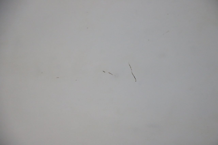 photo de SZYBA PRZEDNIA HONDA FES S-WING SWING ABS 125 (2007 - 2015) - Widok z bliska