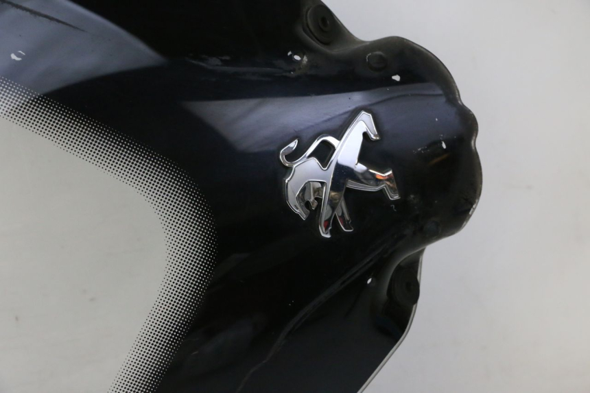 photo de SZYBA PRZEDNIA PEUGEOT SATELIS 125 (2010 - 2012) - Struktura - zbliżenie