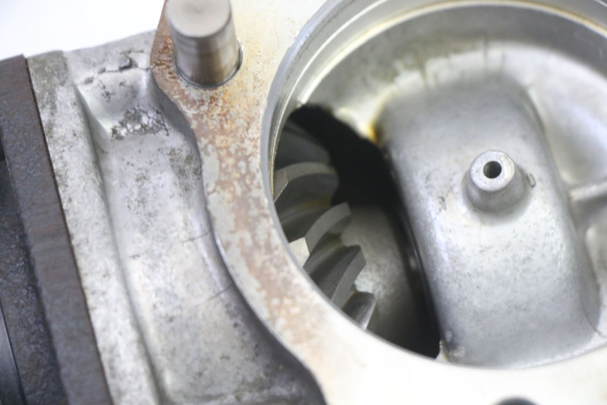 photo de ZĘBATKA HONDA NTV DEAUVILLE 650 (2001 - 2006) - Struktura - zbliżenie