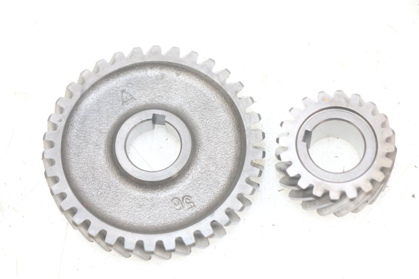 photo de ZĘBATKA SHERCO SM-R 50 (2018 - 2021) - Widok główny