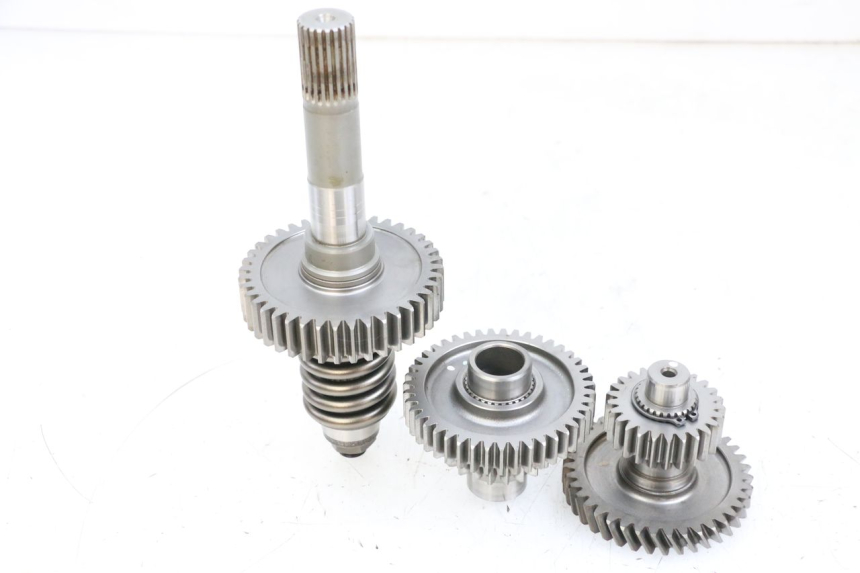 photo de ZĘBATKA NAPĘDU SUZUKI BURGMAN EXECUTIVE ABS 650 (2006 - 2012) - Szczegół części