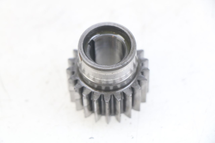 photo de ZĘBATKA NAPĘDU GAS-GAS SM ROOKIE 50 (2001 - 2005) - Szczegół części