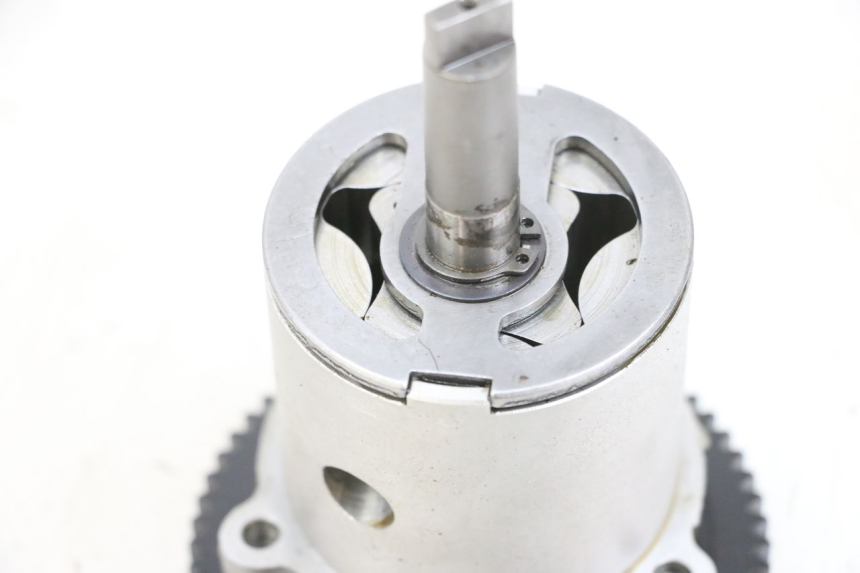 photo de POMPA OLEJU MV AGUSTA BRUTALE R WALLY 910 (2008 - 2008) - Szczegół części