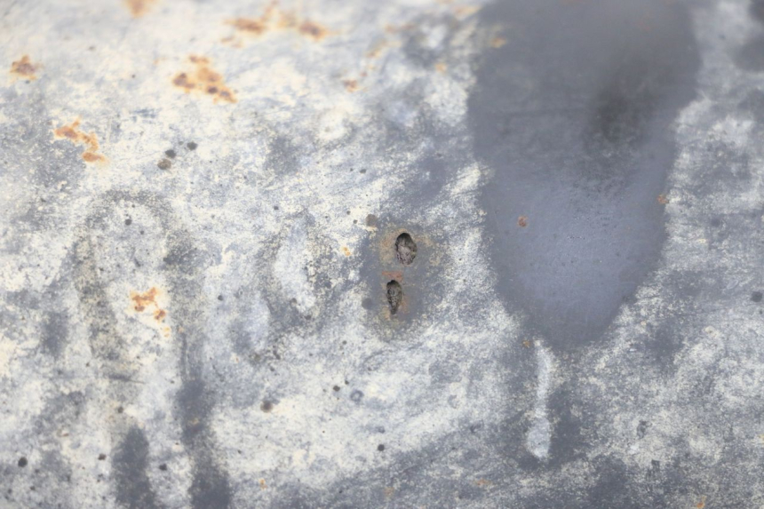 photo de TŁUMIK WYDECHU TNT MOTOR ROMA 10' 4T 50 (2007 - 2018) - Inny kąt widzenia