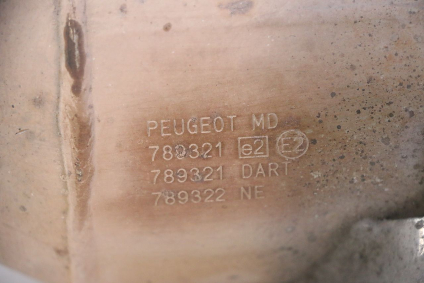 photo de TŁUMIK WYDECHU PEUGEOT SATELIS 125 (2013 - 2018) - Widok ogólny