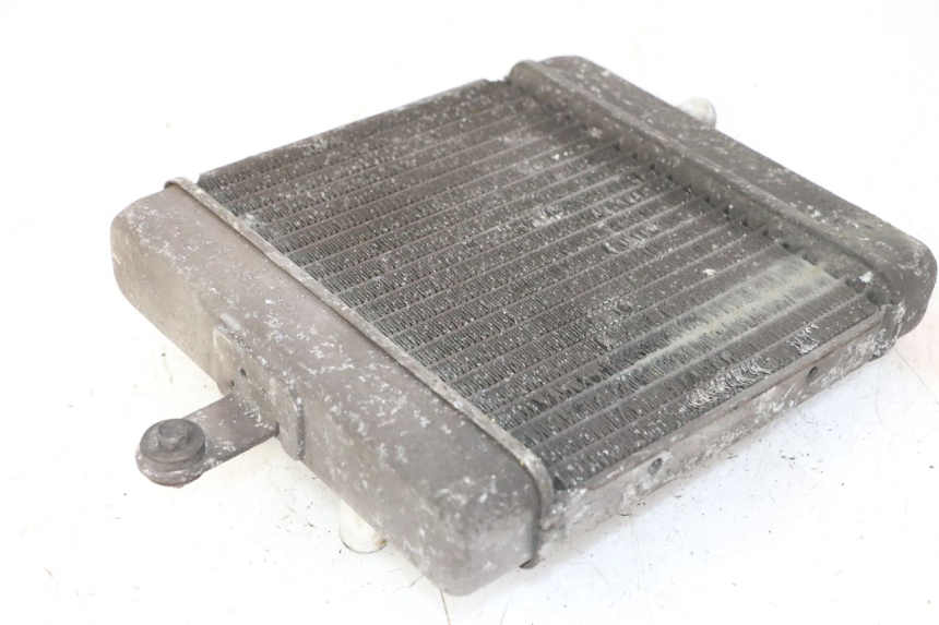 photo de CHŁODNICA SUZUKI BURGMAN 125 (2007 - 2014) - Widok ogólny