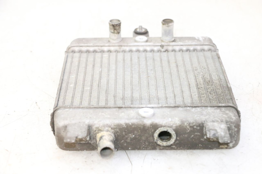 photo de CHŁODNICA SUZUKI BURGMAN 125 (2007 - 2014) - Stan powierzchni