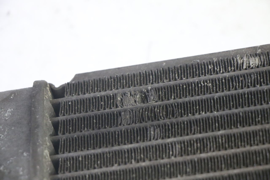 photo de CHŁODNICA SUZUKI BURGMAN 125 (2007 - 2014) - Stan powierzchni