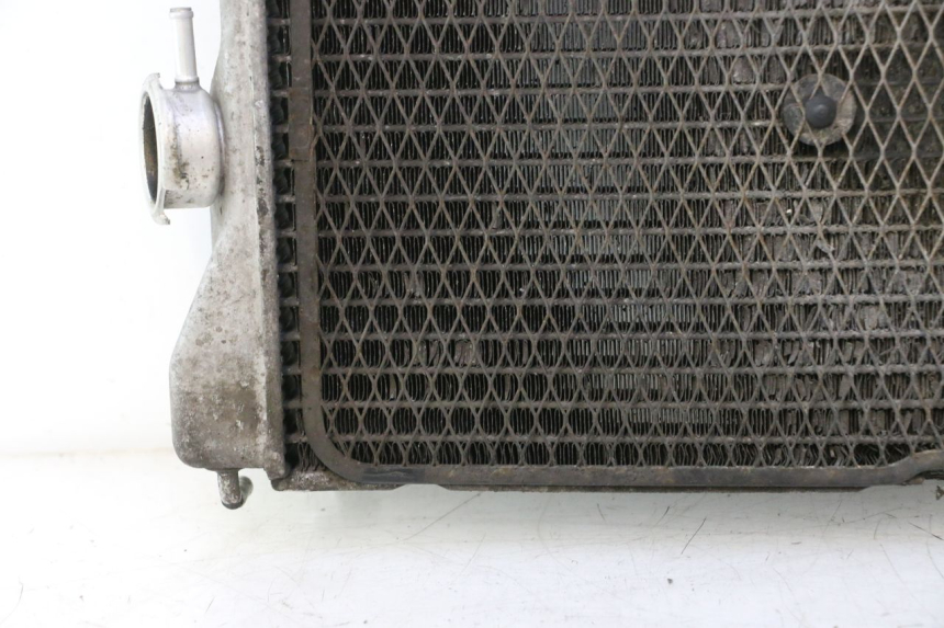 photo de CHŁODNICA SUZUKI BURGMAN EXECUTIVE ABS 650 (2006 - 2012) - Alternatywny kąt