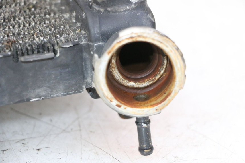 photo de CHŁODNICA HONDA CBR RR FIREBLADE 900 (1992 - 1994) - Widok produktu