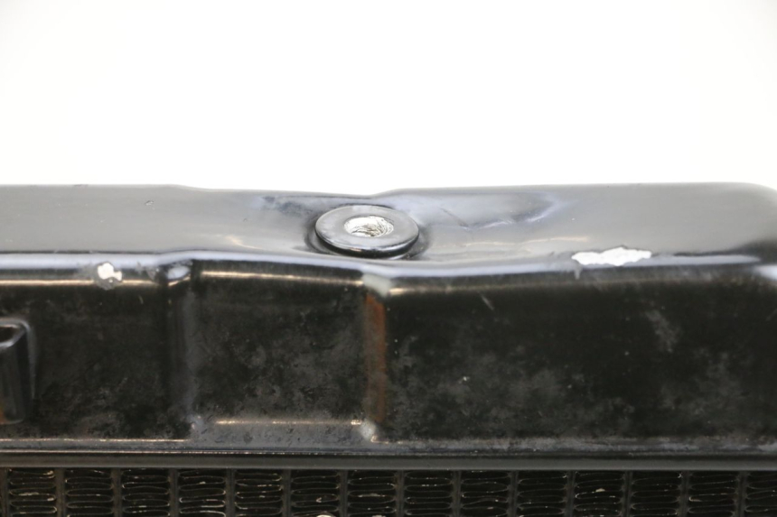 photo de CHŁODNICA SUZUKI DL V STROM 1000 (2002 - 2007) - Inny kąt widzenia