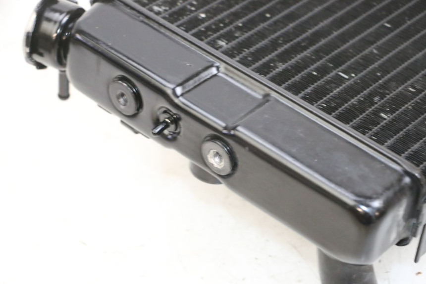 photo de CHŁODNICA SUZUKI DL V STROM 1000 (2002 - 2007) - Stan powierzchni