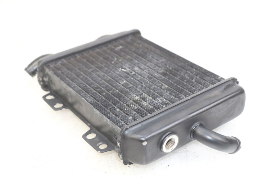 photo de CHŁODNICA PEUGEOT ELYSEO 125 (1999 - 2004) - Zoom stanu zużycia