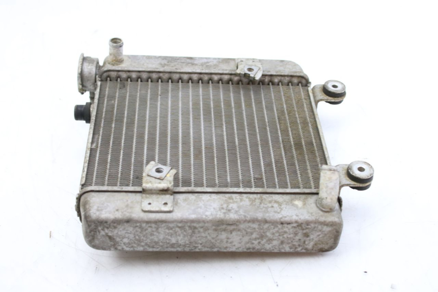 photo de CHŁODNICA HONDA FES S-WING SWING ABS 125 (2007 - 2015) - Zoom stanu zużycia