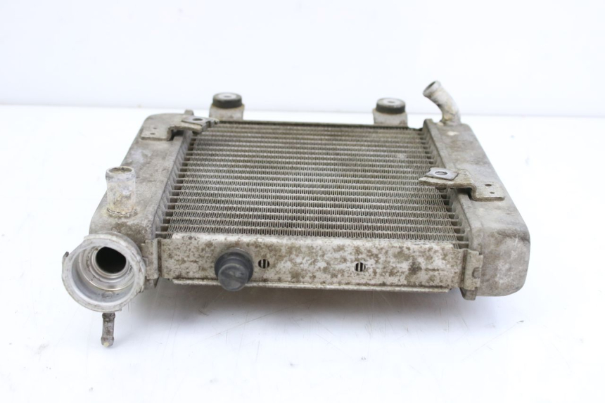 photo de CHŁODNICA HONDA FES S-WING SWING ABS 125 (2007 - 2015) - Zbliżenie techniczne