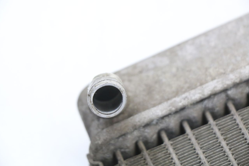 photo de CHŁODNICA HONDA FES S-WING SWING ABS 125 (2007 - 2015) - Zbliżenie techniczne