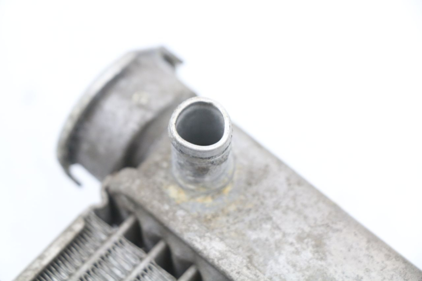 photo de CHŁODNICA HONDA FES S-WING SWING ABS 125 (2007 - 2015) - Widok ogólny