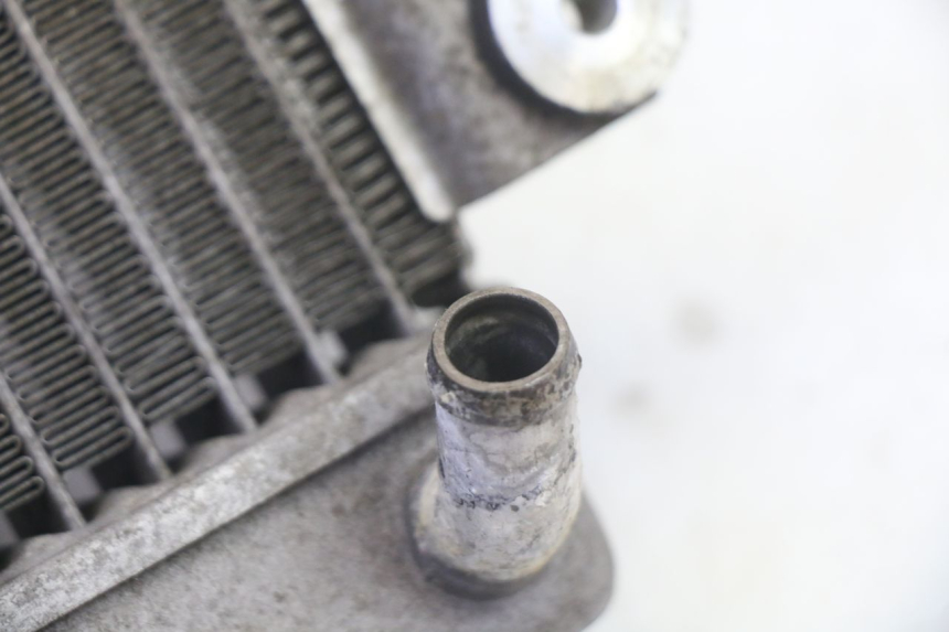 photo de CHŁODNICA HONDA FES S-WING SWING ABS 125 (2007 - 2015) - Widok ogólny