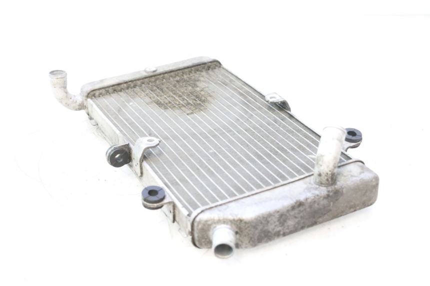 photo de CHŁODNICA HONDA FJS SILVER WING SILVERWING 400 (2005 - 2008) - Widok produktu