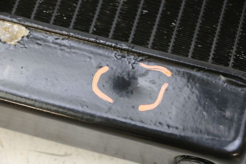 photo de CHŁODNICA YAMAHA FZ6 N FAZER 600 (2004 - 2006) - Zbliżenie techniczne