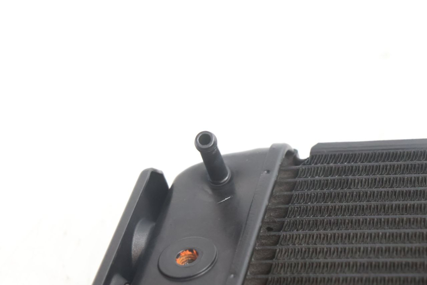 photo de CHŁODNICA YAMAHA FZ8 800 (2010 - 2016) - Widok produktu