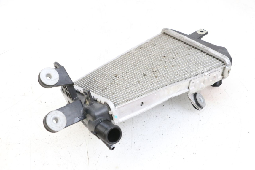 photo de LEWY CHŁODNICA BMW R GS 1250 (2021 - 2024) - Szczegół części