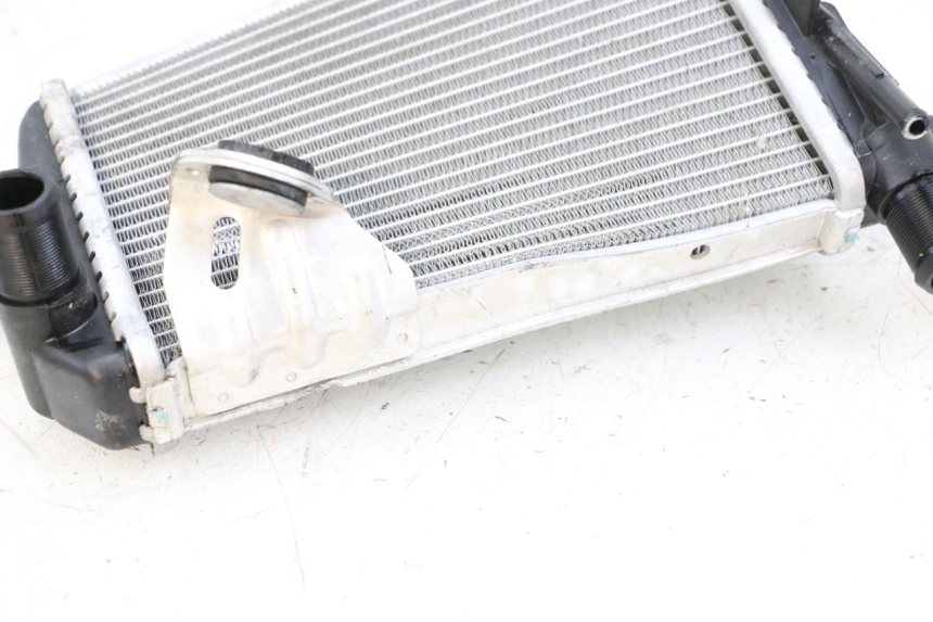 photo de LEWY CHŁODNICA BMW R GS 1250 (2021 - 2024) - Szczegóły charakterystyczne