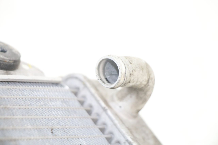 photo de CHŁODNICA HONDA SH i 300 (2015 - 2020) - Widok ogólny