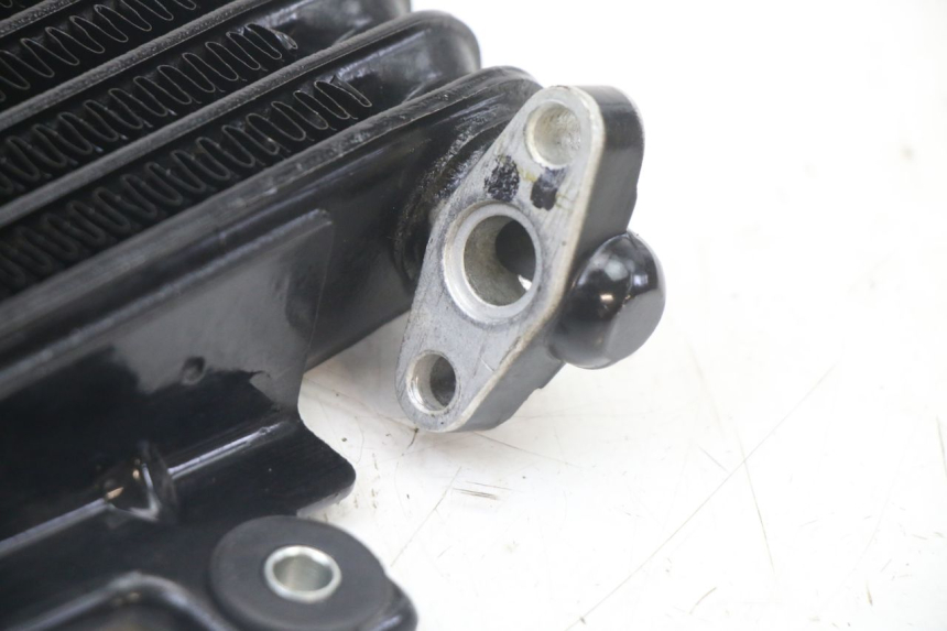 photo de CHŁODNICA OLEJU ROYAL ENFIELD HYMALAYAN 410 (2016 - 2023) - Widok ogólny